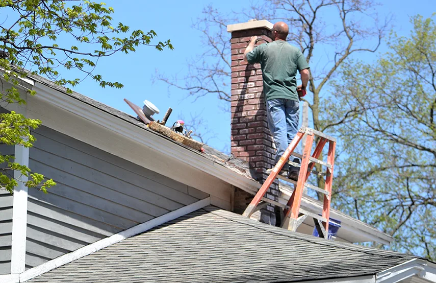 Chimney & Fireplace Inspections Services in Lauderdale Lakes, FL
